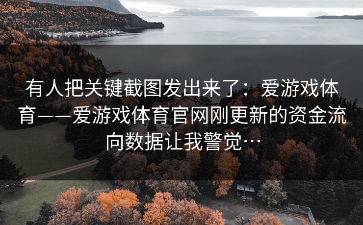 有人把关键截图发出来了：爱游戏体育——爱游戏体育官网刚更新的资金流向数据让我警觉…