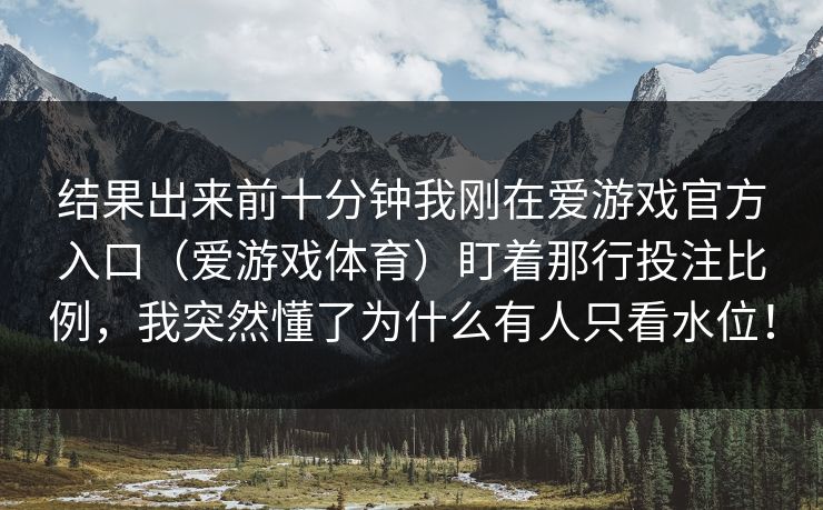 结果出来前十分钟我刚在爱游戏官方入口（爱游戏体育）盯着那行投注比例，我突然懂了为什么有人只看水位！