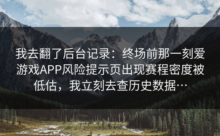 我去翻了后台记录：终场前那一刻爱游戏APP风险提示页出现赛程密度被低估，我立刻去查历史数据…