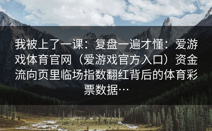 我被上了一课：复盘一遍才懂：爱游戏体育官网（爱游戏官方入口）资金流向页里临场指数翻红背后的体育彩票数据…
